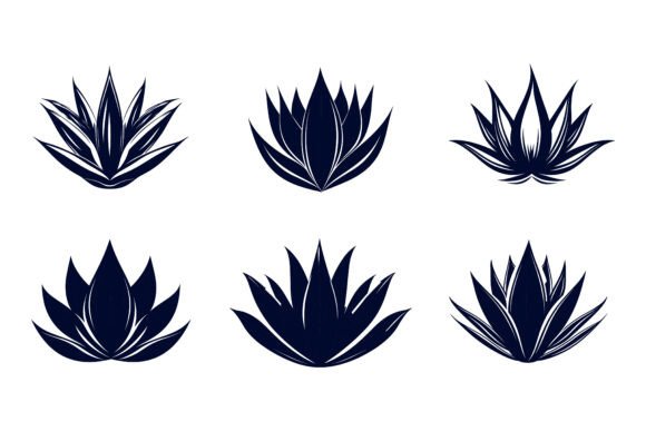 Set of Agave: Versatile Vector Art for Your Projects